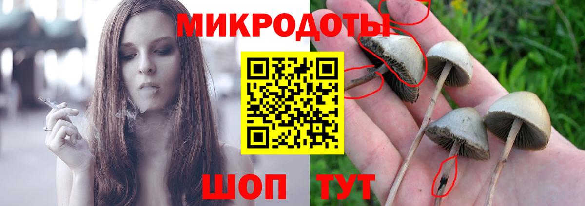 Холмск  Псилоцибиновые грибы Psilocybine cubensis  Вход с VPN 